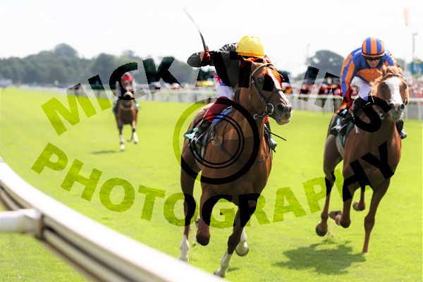Race 2 - Stradivarius (2)