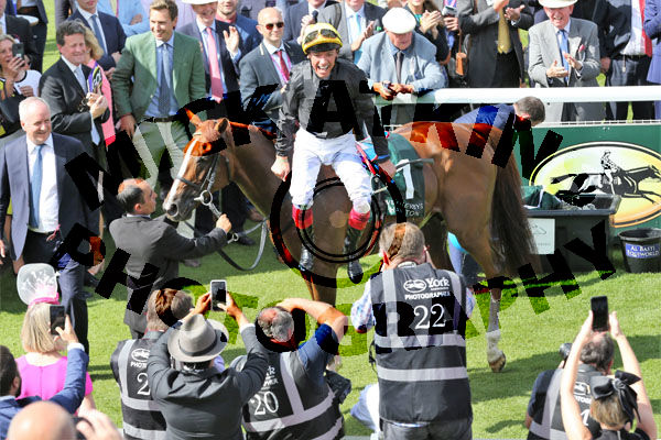 Race 2 - Stradivarius (7)
