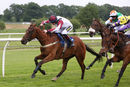Race 2 - Stubborn Logic (11)