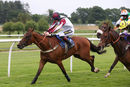 Race 2 - Stubborn Logic (12)