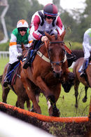 Race 2 - Stubborn Logic (2)