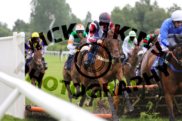 Race 2 - Stubborn Logic (3)