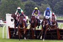 Race 2 - Stubborn Logic (5)