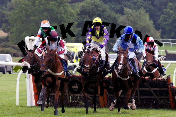 Race 2 - Stubborn Logic (6)