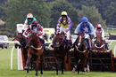Race 2 - Stubborn Logic (6)