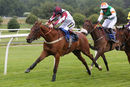 Race 2 - Stubborn Logic (9)