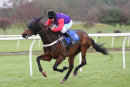 Race 2 - Sunshade (8)
