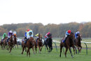 Race 2 - Surfman (3)