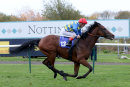 Race 2 - Surfman (7)