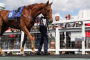 Race 2 - Tabassor (2)