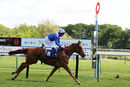 Race 2 - Tabassor (5)