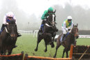 Race 2 - The Bottom Bar (2)