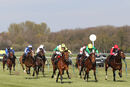 Race 2 - Third Realm (3)