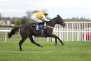 Race 2 - Thistle Do Nicely (3)