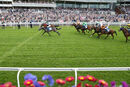 Race 2 - Truely Aclaimed (3)