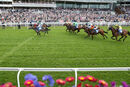 York Races - Bronte Cup (21 May 22)