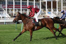 Race 2 - Twisted Reality (10)