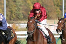 Race 2 - Twisted Reality (2)