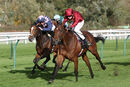 Race 2 - Twisted Reality (7)