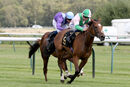Race 2 - Typewriter (3)