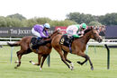 Race 2 - Typewriter (5)