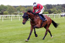 Race 2 - Van Gogh Du Grannit (10)