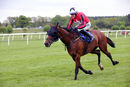 Race 2 - Van Gogh Du Grannit (11)