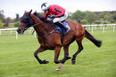 Race 2 - Van Gogh Du Grannit (12)