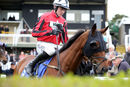 Race 2 - Van Gogh Du Grannit (2)