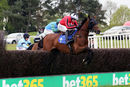 Race 2 - Van Gogh Du Grannit (3)