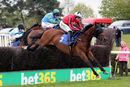 Race 2 - Van Gogh Du Grannit (4)