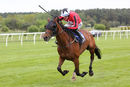 Race 2 - Van Gogh Du Grannit (9)