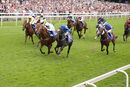 Race 2 - Venturous (2)