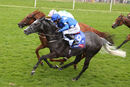 Race 2 - Venturous (3)