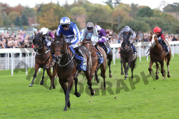 Race 2 - Vintage Brut (1)