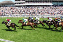 Race 2 - Viscount Barfield (11)