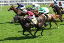 Race 2 - Viscount Barfield (6)