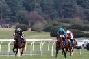 Race 2 - Viva Vittoria (6)