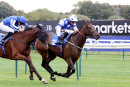 Race 2 - Vivid Diamond (11)