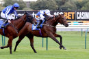 Race 2 - Vivid Diamond (12)