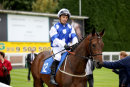 Race 2 - Vivid Diamond (2)