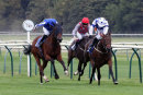 Race 2 - Vivid Diamond (3)