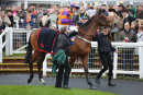 Race 2 - War Brigade (2)