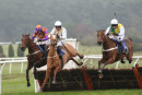 Race 2 - War Brigade (3)