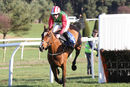Race 2 - Weakfield (4)