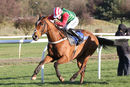 Race 2 - Weakfield (5)