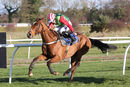 Race 2 - Weakfield (7)