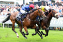 Race 2 - Wells Farhh Go (8)