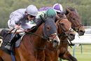 Race 2 - Western Alliance (10)