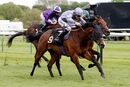 Race 2 - Western Alliance (12)
